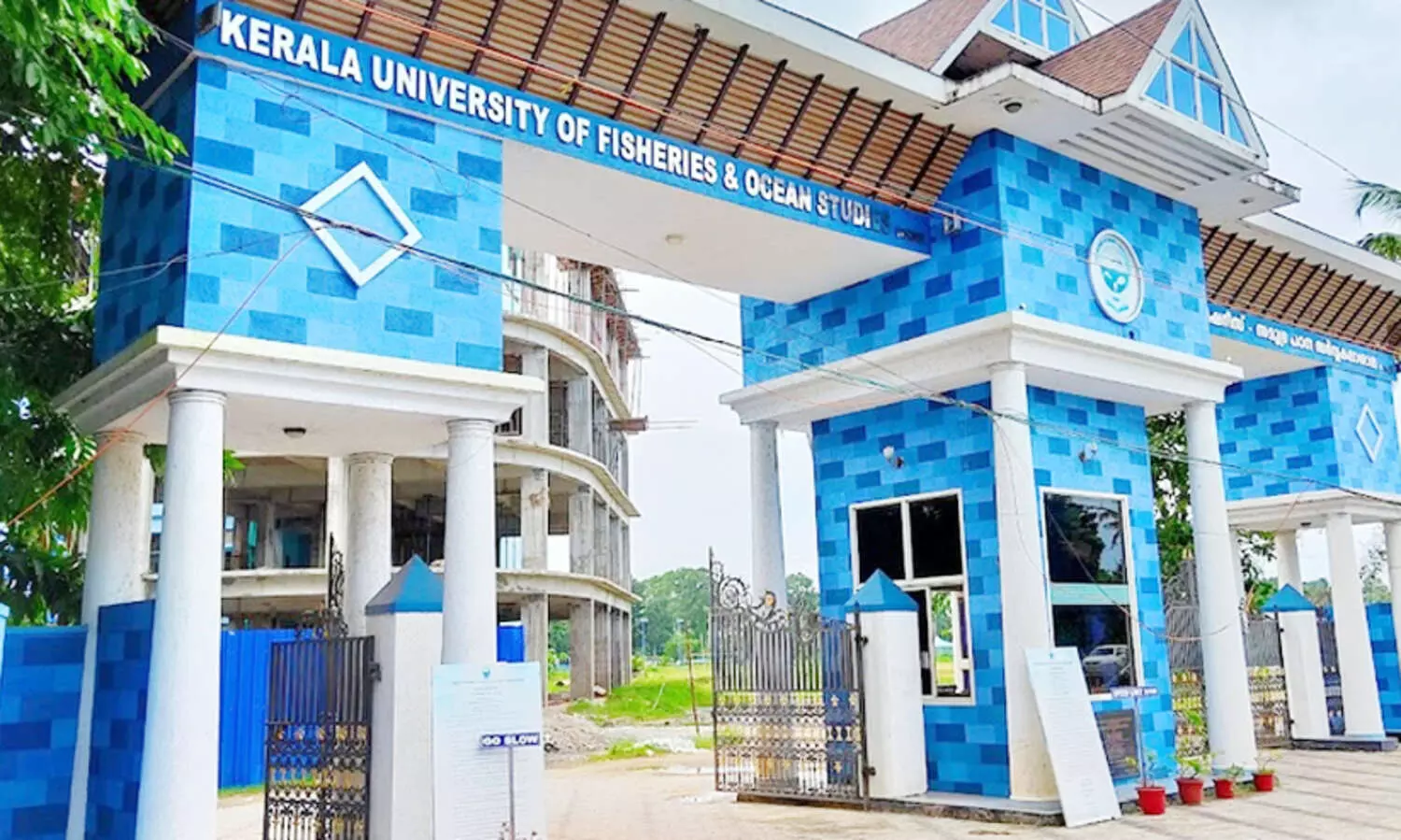 ഒട്ടും പേടിക്കേണ്ട; മീൻ കഴിക്കാം, കടലിൽ കാത്സ്യം കാർബൈഡ് കലർന്നിട്ടില്ല -കുഫോസ് പഠനം