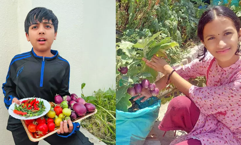 മണ്ണിൽ വിളവെടുത്ത് കുട്ടിക്കർഷകർ