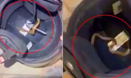 ഹെ​ൽ​മ​റ്റി​ൽ പാ​മ്പ്; വീ​ട്ട​മ്മ​ക്ക് ക​ടി​യേ​റ്റു