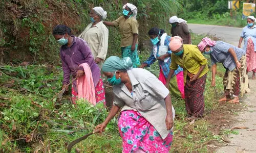 കരാറുകാർക്ക് ‘തൊഴിലുറപ്പിക്കാൻ’ സർക്കാർ