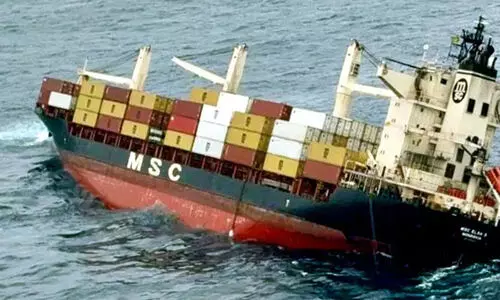 MSC ELSA 3 Cargo Ship