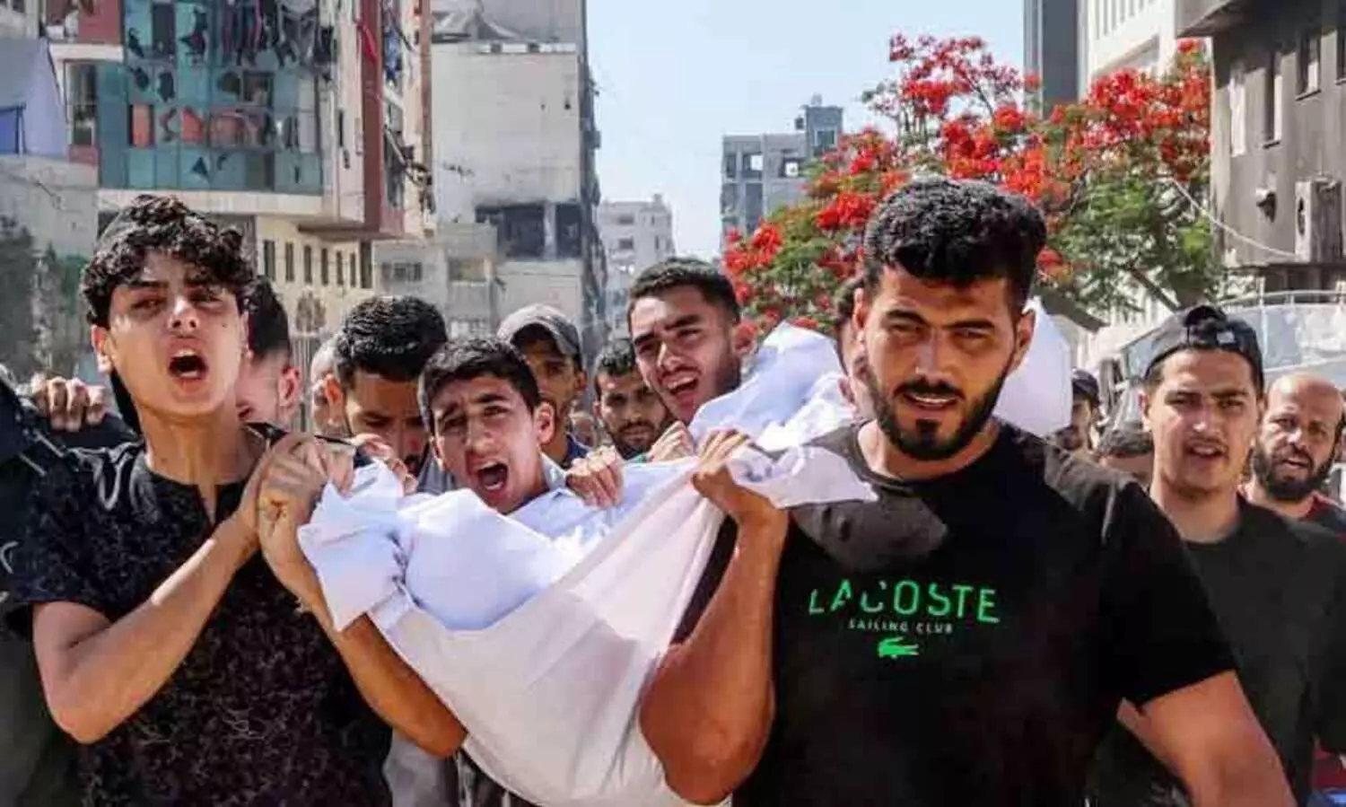 ഇറാനിൽ യുദ്ധം തുടരുമ്പോഴും ഗസ്സയിൽ നരനായാട്ടുമായി ഇസ്രായേൽ; മൂന്നു ദിവസങ്ങളിലായി കൊന്നു തള്ളിയത് 115 പേരെ