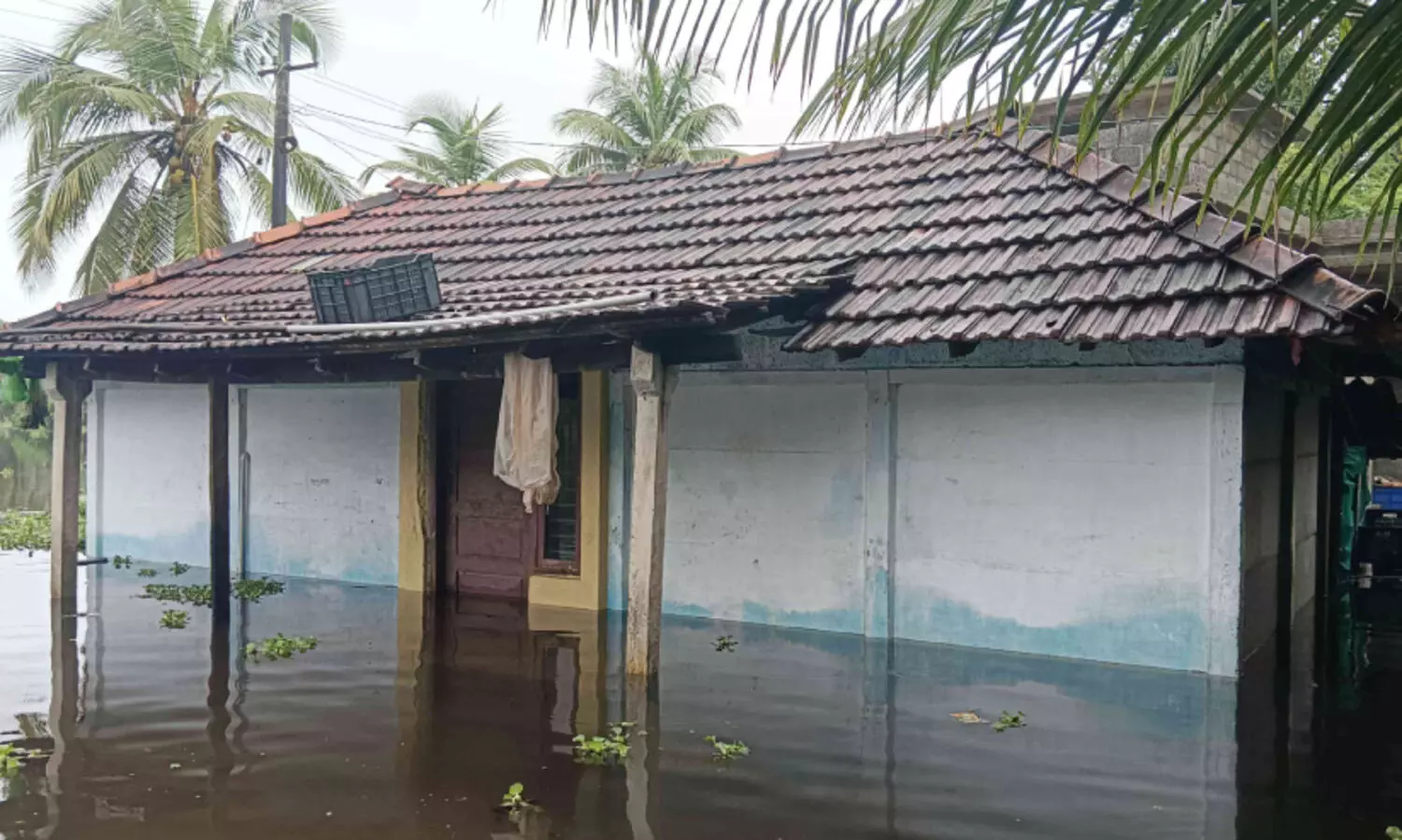 പുന്നയൂരിലും ചാവക്കാട്ടും വെള്ളക്കെട്ട്; കിടപ്പുരോഗികളുൾപ്പെടെ ദുരിതത്തിൽ