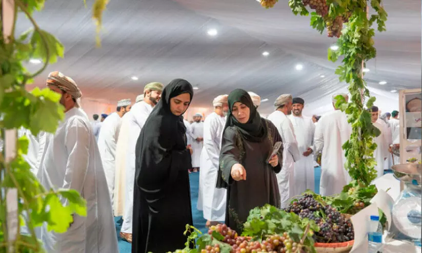 മുന്തിരി ഉൽപാദനം വർധിപ്പിക്കാൻ നിർമിത ബുദ്ധിയും സ്മാർട്ട് ഫാമിങ്ങും മുന്തിരി ഉൽപാദനം വർധിപ്പിക്കാൻ നിർമിത ബുദ്ധിയും സ്മാർട്ട് ഫാമിങ്ങും