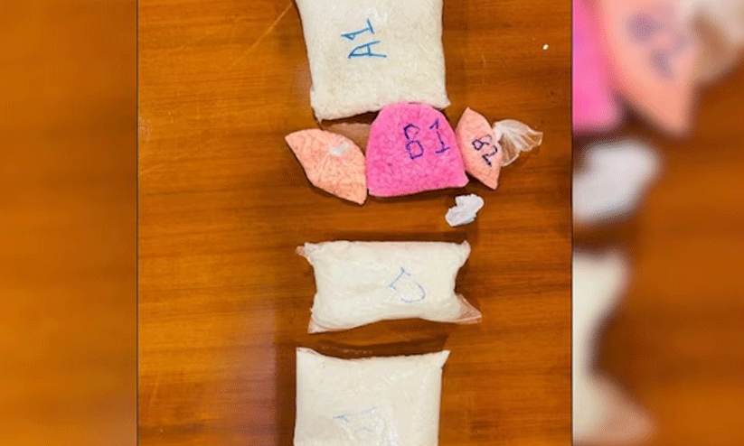 5 കോടി രൂപയുടെ ലഹരി മരുന്നുകൾ ഭക്ഷണ പാക്കറ്റുകളിൽ ഒളിപ്പിച്ച് കടത്താൻ ശ്രമം; നൈജീരിയൻ യുവതി ഡൽഹിയിൽ പിടിയിൽ