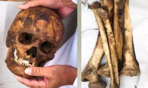 മ​ഴ​വെ​ള്ള സം​ഭ​ര​ണി​യി​ൽ മ​നു​ഷ്യ ത​ല​യോ​ട്ടി