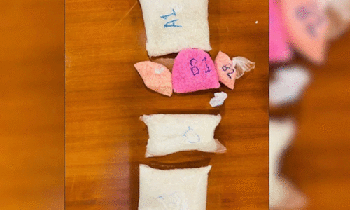 5 കോടി രൂപയുടെ ലഹരി മരുന്നുകൾ ഭക്ഷണ പാക്കറ്റുകളിൽ ഒളിപ്പിച്ച് കടത്താൻ ശ്രമം; നൈജീരിയൻ യുവതി ഡൽഹിയിൽ പിടിയിൽ