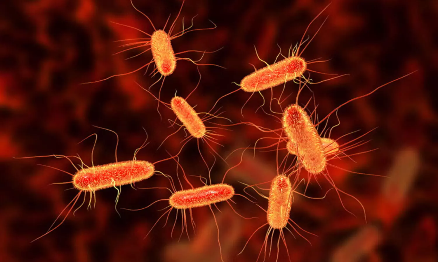 എരുമപ്പെട്ടി ഗവ. എൽ.പി സ്‌കൂളിലെ ഭക്ഷ്യവിഷബാധ; കിണർ വെള്ളത്തിൽ കോളിഫോം, ഇ കോളി ബാക്ടീരിയകൾ