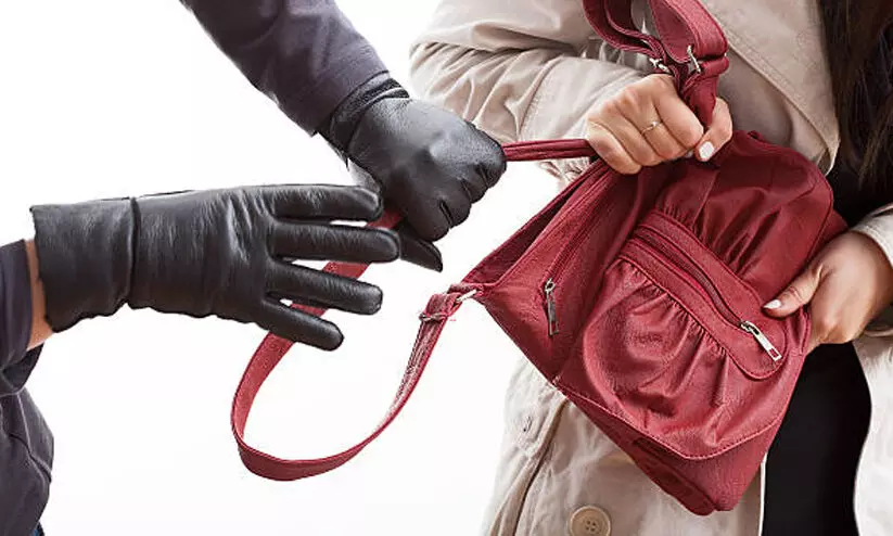 stealing hand bag