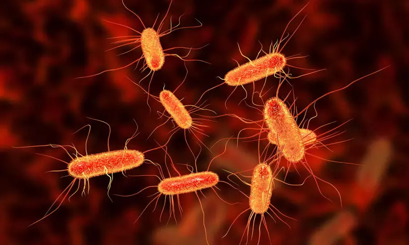 എരുമപ്പെട്ടി ഗവ. എൽ.പി സ്‌കൂളിലെ ഭക്ഷ്യവിഷബാധ; കിണർ വെള്ളത്തിൽ കോളിഫോം, ഇ കോളി ബാക്ടീരിയകൾ