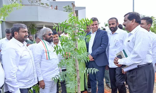 പരിസ്ഥിതിദിനാചരണം