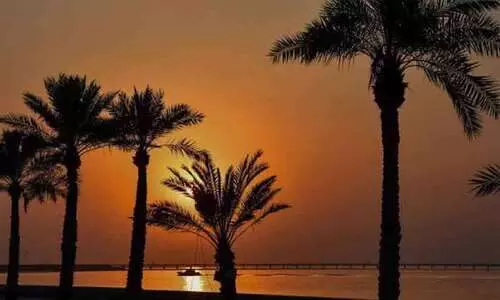 ക​ന​ത്ത ചൂ​ടി​നൊ​പ്പം സ​ജീ​വ​മാ​യി കാ​റ്റും