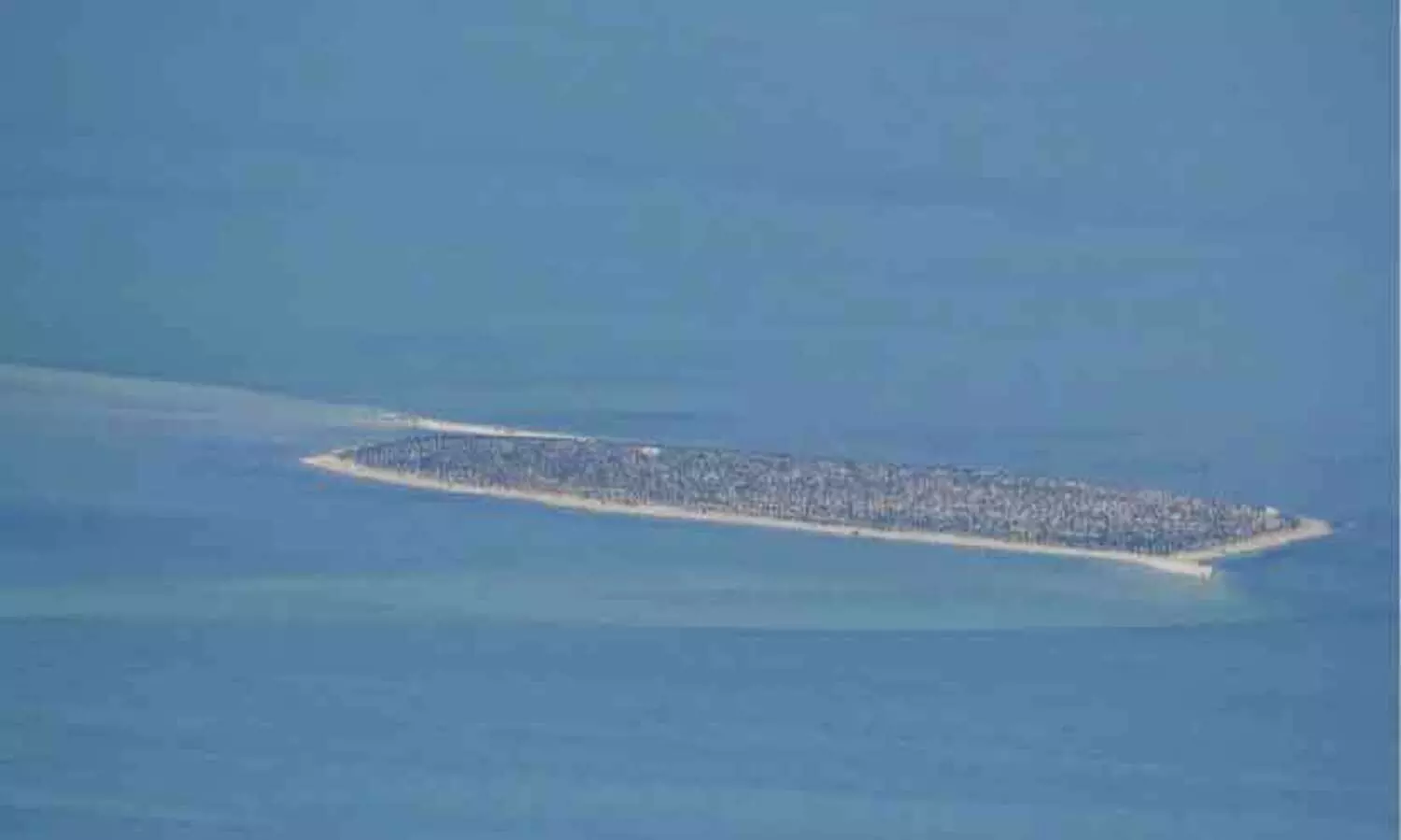 സ​മു​ദ്ര ആ​വാ​സ വ്യ​വ​സ്ഥ​യു​ടെ സം​ര​ക്ഷ​ണം; അ​ബൂ​ദ​ബി​യി​ൽ ആ​കാ​ശ സ​ർ​വേ പൂ​ർ​ത്തി​യാ​യി