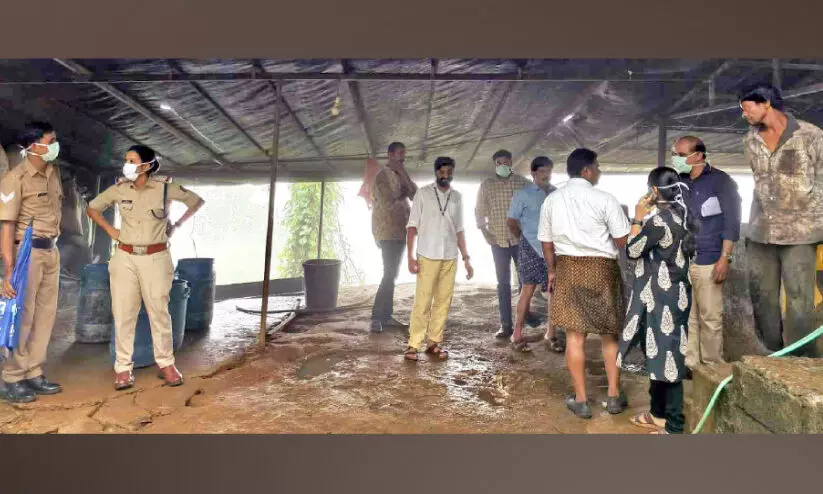പകർച്ചവ്യാധി പ്രതിരോധം; അനധികൃത പന്നി ഫാം അടപ്പിച്ചു പകർച്ചവ്യാധി പ്രതിരോധം; അനധികൃത പന്നി ഫാം അടപ്പിച്ചു