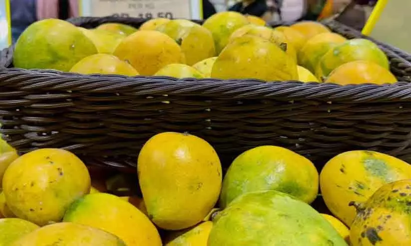 സൂ​ഖി​​ൽ ഇ​നി ബം​ഗ്ലാ​ദേ​ശ്​ മാ​മ്പ​ഴമേ​ള