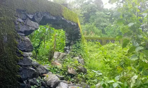 പ്ര​ള​യ​ത്തി​ൽ ത​ക​ർ​ന്ന ആ​ന​മ​തി​ൽ പു​ന​ർ​നി​ർ​മി​ക്കാ​തെ വ​നം​വ​കു​പ്പ്