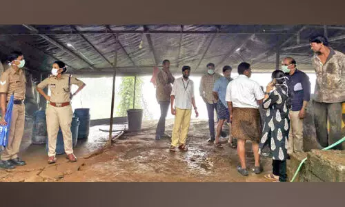 പകർച്ചവ്യാധി പ്രതിരോധം; അനധികൃത പന്നി ഫാം അടപ്പിച്ചു