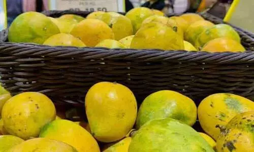 സൂ​ഖി​​ൽ ഇ​നി ബം​ഗ്ലാ​ദേ​ശ്​ മാ​മ്പ​ഴമേ​ള