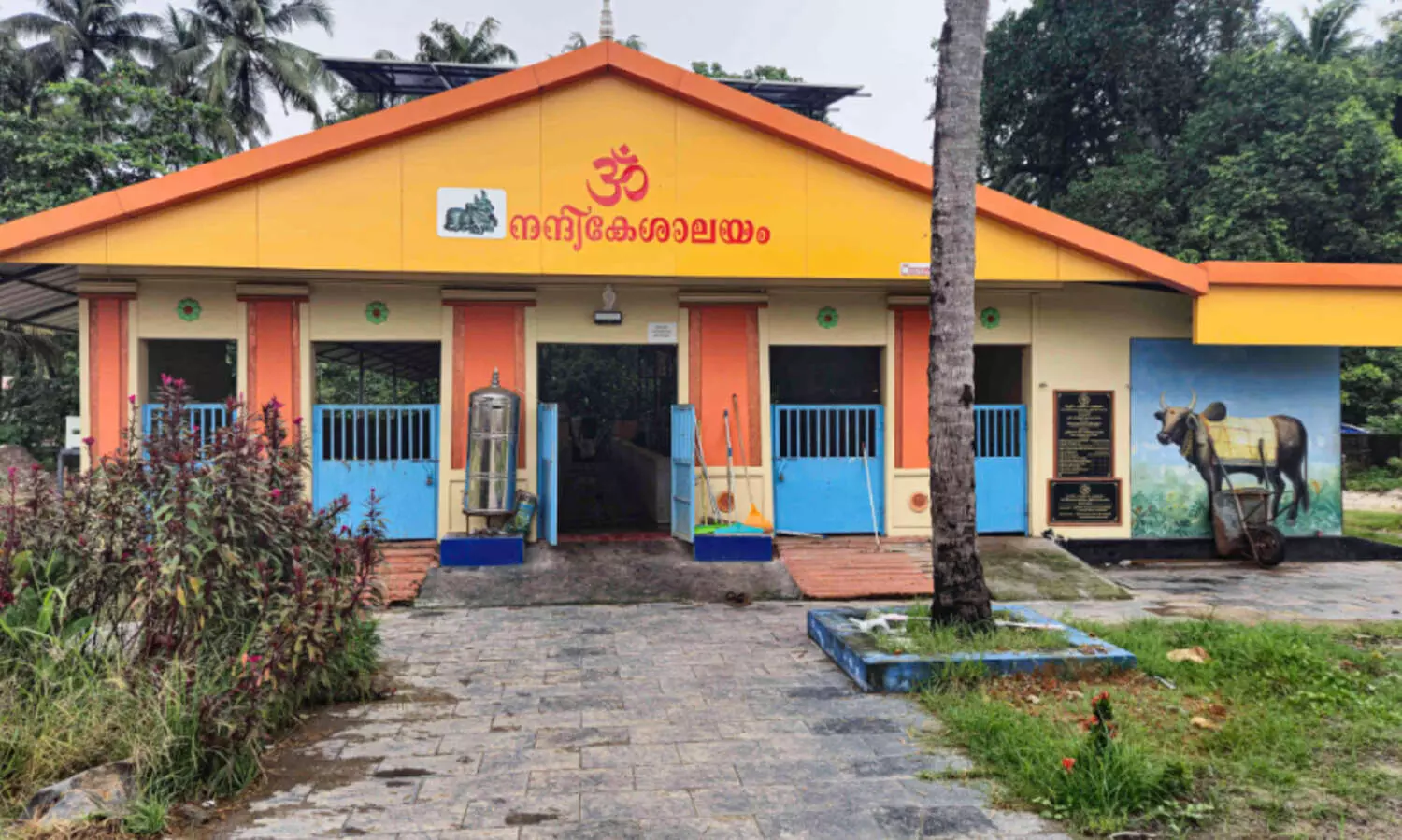 സംഗീതം കേട്ടുറങ്ങാം... നന്ദികേശന്മാർ സംതൃപ്തരാണ്