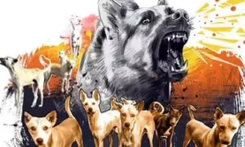 കുട്ടമശ്ശേരിയിൽ തെരുവുനായ്​ ശല്യം രൂക്ഷം; നിരവധി പേർക്ക് കടിയേറ്റു