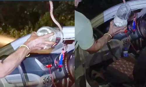 ഓടിക്കൊണ്ടിരിക്കുന്ന കാറിൽ യാത്രക്കാരന്​ പാമ്പുകടിയേറ്റു