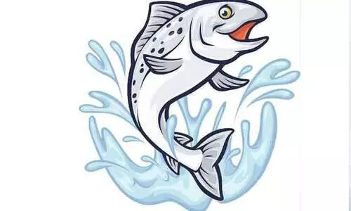 മീൻവില കേട്ടാൽ തന്നെ ഞെട്ടും!  കാരണം ട്രോളിങ്​ നിരോധനവും പ്രതികൂല കാലാവസ്ഥയും