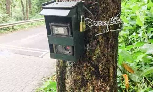 തണ്ണിത്തോട് റോഡിൽ പൊലീസ്​ സംഘത്തിന്​ മുന്നിൽ കടുവ; കാ​മ​റ സ്ഥാ​പി​ച്ച്​ വ​ന​പാ​ല​ക​ർ