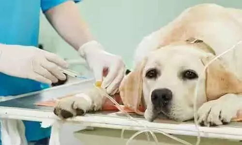 ഡോക്ടറും ജീവനക്കാരുമില്ല; പ്രവര്‍ത്തനം നിലച്ച് മൊബൈല്‍ വൈറ്ററിനറി സര്‍ജറി യൂനിറ്റ്