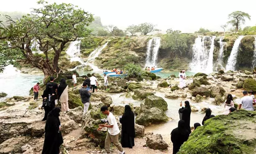 കൊ​തു​കു​ക​ളു​ടെ വ്യാ​പ​നം പ​രി​മി​ത​പ്പെ​ടു​ത്ത​ൽ;   ദോ​ഫാ​ർ മു​നി​സി​പ്പാ​ലി​റ്റി അ​വ​ലോ​ക​നം ചെ​യ്തു