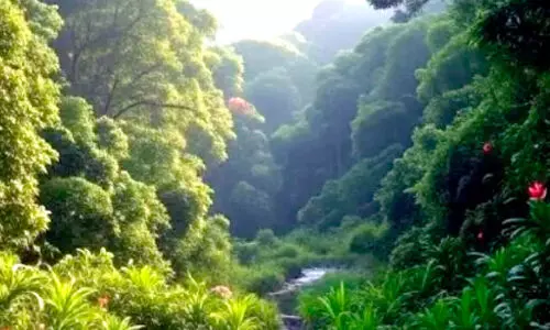 4000 കോ​ടി​യു​ടെ 120 ഏ​ക്ക​ർ വ​ന​ഭൂ​മി സ​ർ​ക്കാ​ർ തി​രി​ച്ചു​പി​ടി​ച്ചു