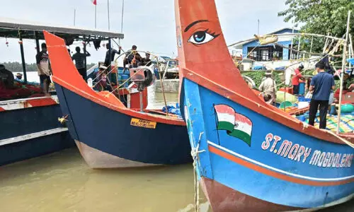 അനധികൃത മത്സ്യബന്ധനം നടത്തിയ വഞ്ചികള്‍ പിടികൂടി