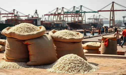 ഇറാനിലേക്കുള്ള ബസ്മതി അരി കയറ്റുമതി മുടങ്ങി; അ​രി വി​വി​ധ ഇ​ന്ത്യ​ൻ തു​റ​മു​ഖ​ങ്ങ​ളി​ൽ കെ​ട്ടി​ക്കി​ട​ക്കു​ന്നു