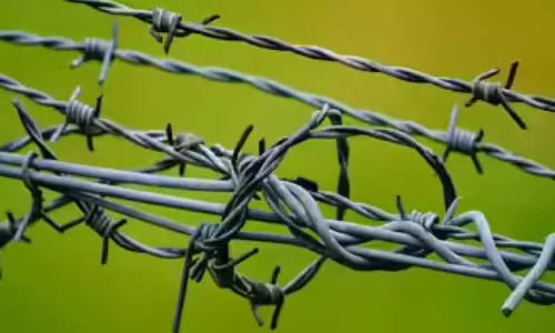 വൈദ്യുതി വേലി വ്യാപകം; ആർക്കും ലൈസൻസില്ല