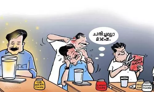 നിലമ്പൂർ ടർമെറിക് മാജിക്