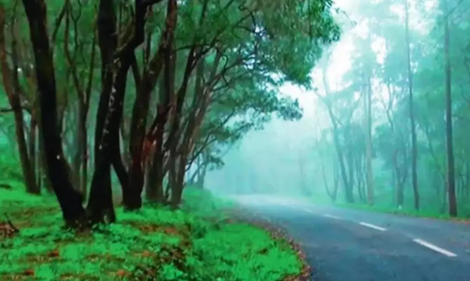 കനത്ത മഴ; വയനാട് ടൂറിസ്റ്റ് കേന്ദ്രങ്ങൾ താൽക്കാലികമായി അടച്ചു