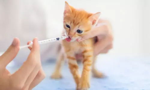 വ​ള​ർ​ത്തു​മൃ​ഗ​ങ്ങ​ളു​ടെ വാ​ക്സി​നേ​ഷ​നു​ക​ളും പാ​സ്പോ​ർ​ട്ടു​ക​ളും പൂ​ർ​ത്തി​യാ​ക്കാ​ൻ നി​ർ​ദേ​ശം