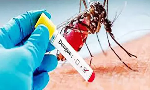 വീ​ണ്ടും ഡെ​ങ്കി​പ്പ​നി; ജാ​ഗ്ര​ത ​വേ​ണ​മെ​ന്ന്​ ആ​രോ​ഗ്യ വ​കു​പ്പ്​