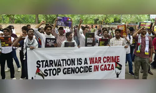 friends of Palestine