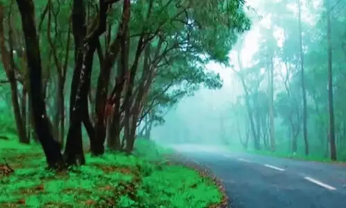 കനത്ത മഴ; വയനാട് ടൂറിസ്റ്റ് കേന്ദ്രങ്ങൾ താൽക്കാലികമായി അടച്ചു