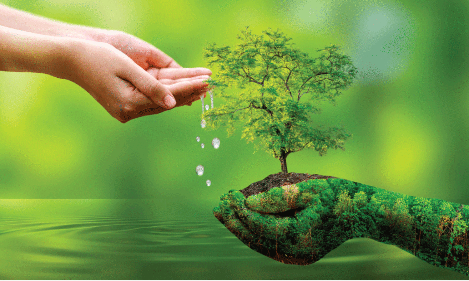 ‘എത്ര മഴ പെയ്താലും വേനലിൽ കിണർ വറ്റാറുണ്ടോ?’ -ഇക്കാര്യങ്ങൾ ചെയ്താൽ വേനലിലും കിണർ വെള്ളം ഉപയോഗിക്കാം