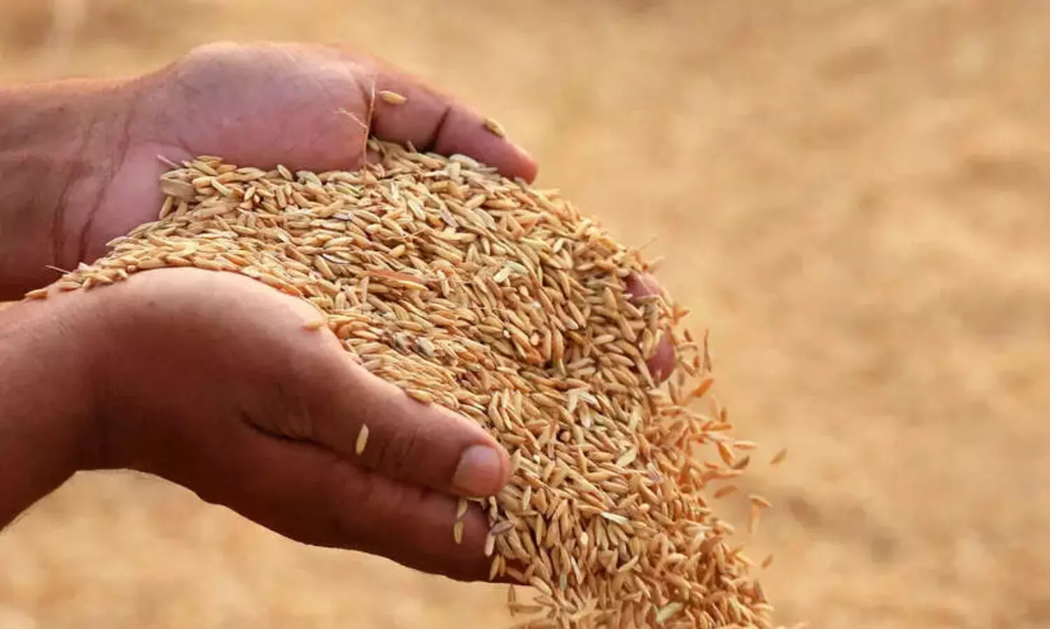 കാത്ത്​ കാത്ത്​ കർഷകർ; ലഭിക്കാനുള്ളത്​ 18.91 കോടി