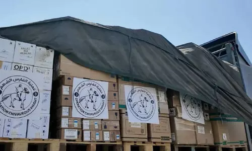 uae delivers medical aid to gaza