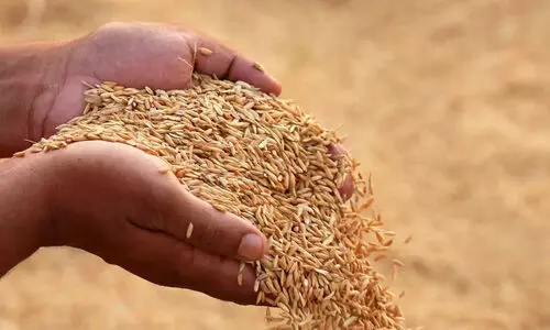 കാത്ത്​ കാത്ത്​ കർഷകർ; ലഭിക്കാനുള്ളത്​ 18.91 കോടി