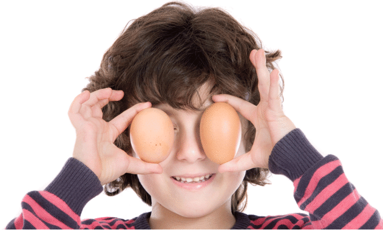 ‘മുട്ടയുടെ മഞ്ഞ കഴിച്ചാൽ പണി കിട്ടുമോ? ഒരു ദിവസം എത്ര മുട്ട കഴിക്കാം?’ -അറിയാം, മുട്ടയുടെ ആരോഗ്യ രഹസ്യങ്ങൾ