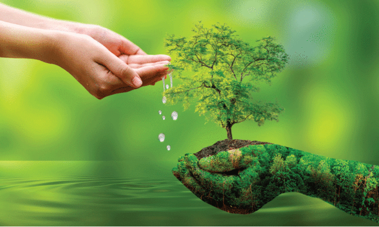 ‘എത്ര മഴ പെയ്താലും വേനലിൽ കിണർ വറ്റാറുണ്ടോ?’ -ഇക്കാര്യങ്ങൾ ചെയ്താൽ വേനലിലും കിണർ വെള്ളം ഉപയോഗിക്കാം