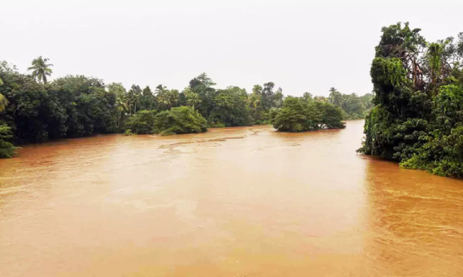 അപ്പർകുട്ടനാട്​ വീണ്ടും വെള്ളപ്പൊക്ക ഭീഷണിയിൽ