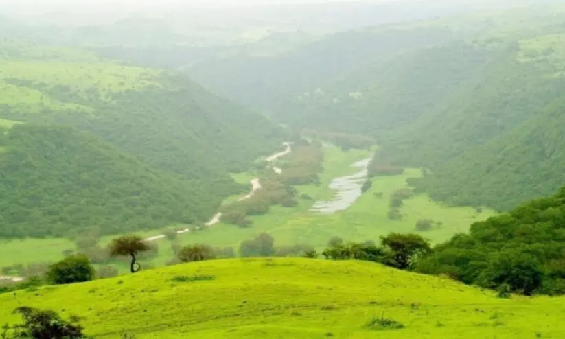 മൂടൽമഞ്ഞും ചാറ്റൽ മഴയും ഉടനെത്തും; സലാലക്ക് സന്തോഷം മൂടൽമഞ്ഞും ചാറ്റൽ മഴയും ഉടനെത്തും; സലാലക്ക് സന്തോഷം