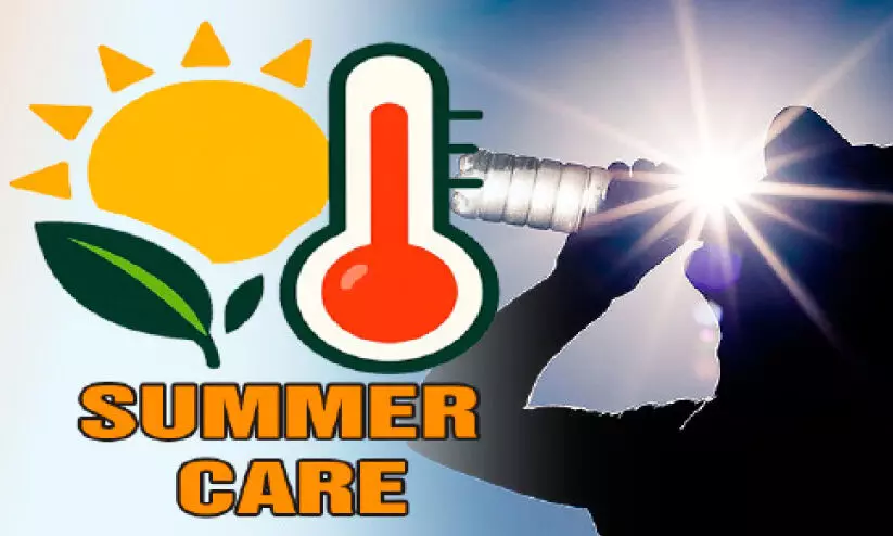 summer diseases summer diseases