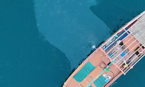 നി​യ​മം ലം​ഘി​ച്ച് ക​ട​ലി​ൽ ഡീ​സ​ൽ ഒ​ഴു​ക്കി; ന​ട​പ​ടി​യെ​ടു​ത്ത്  പ​രി​സ്ഥി​തി മ​ന്ത്രാ​ല​യം