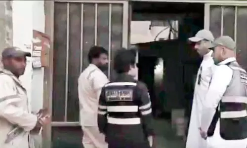 Ministry of Power and Water, Ministry of Home Affairs employees under review